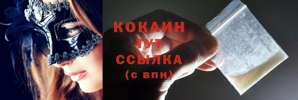ПСИЛОЦИБИНОВЫЕ ГРИБЫ Белокуриха