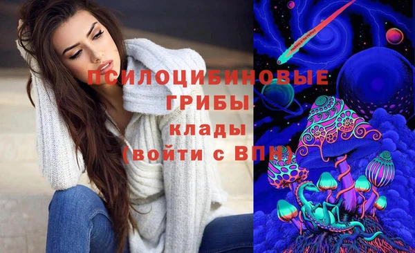 ПСИЛОЦИБИНОВЫЕ ГРИБЫ Белокуриха
